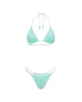 Icon Bikini in Mint